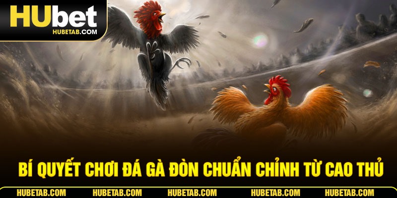 Bí quyết chơi đá gà đòn chuẩn chỉnh từ cao thủ