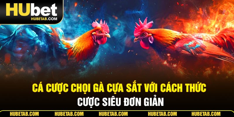Cá cược chọi gà cựa sắt với cách thức cược siêu đơn giản