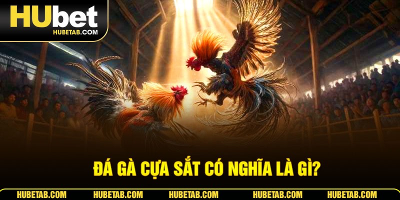 Đá gà cựa sắt có nghĩa là gì?