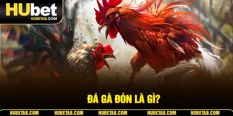 Đá gà đòn là gì?