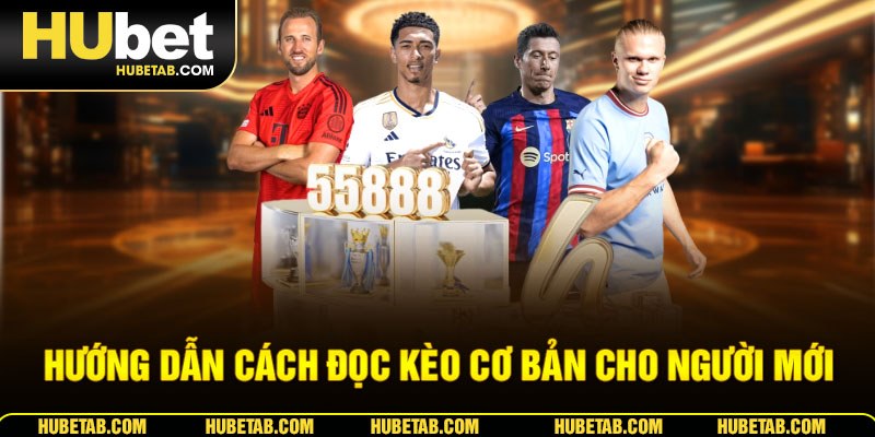 Hướng dẫn cách đọc kèo cơ bản cho người mới