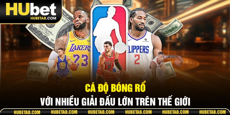 Cá độ bóng rổ với nhiều giải đấu lớn trên thế giới