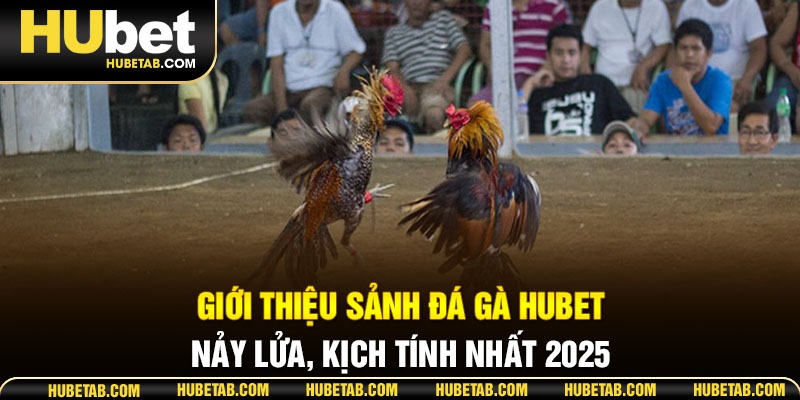 Giới thiệu sảnh đá gà HUBET nảy lửa, kịch tính nhất 2025