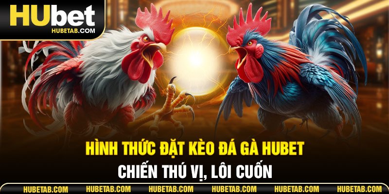 Hình thức đặt kèo Đá gà HUBET chiến thú vị, lôi cuốn
