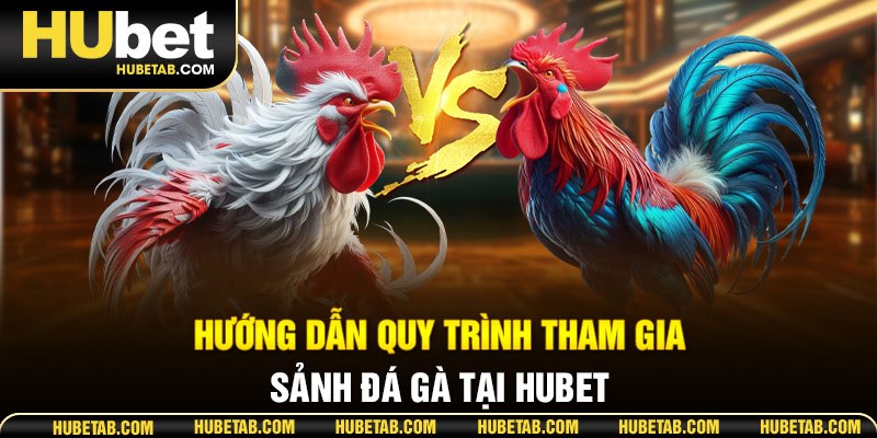 Hướng dẫn quy trình tham gia sảnh Đá gà tại HUBET
